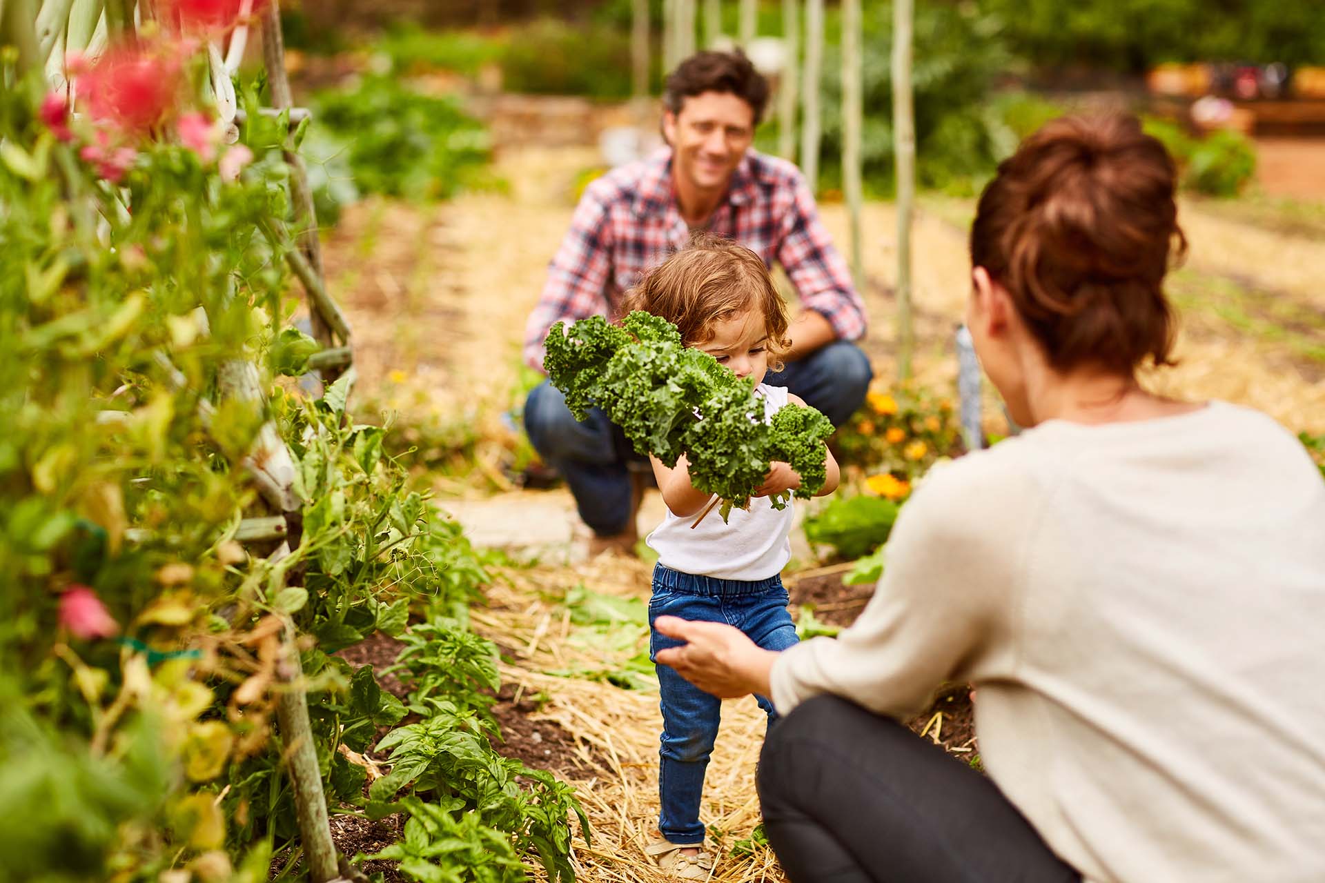 Découvrez notre magazine Agrilocal numéro 4 - Janvier 2022